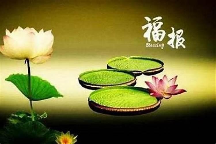 巨蟹座2025年5月17日运势