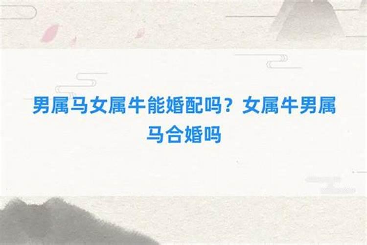 属马男婚配属牛女好不,属马男配属牛女好不好