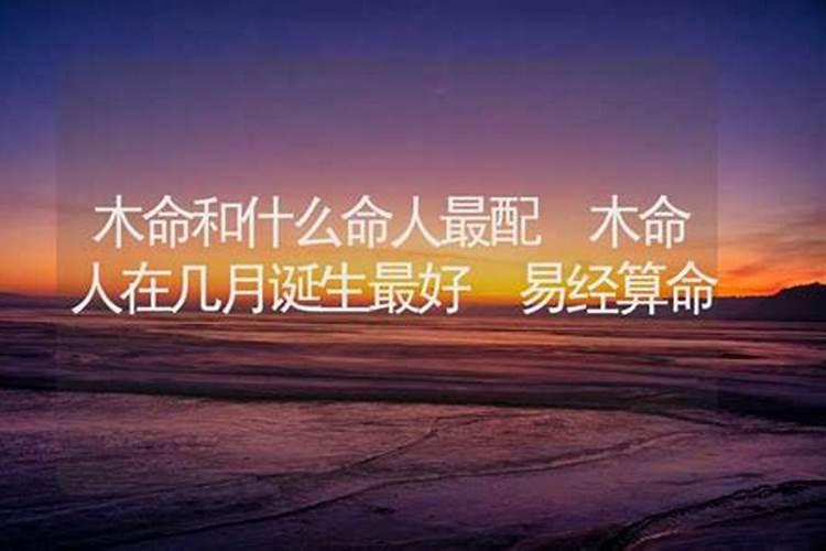 木命和什么命蕞配