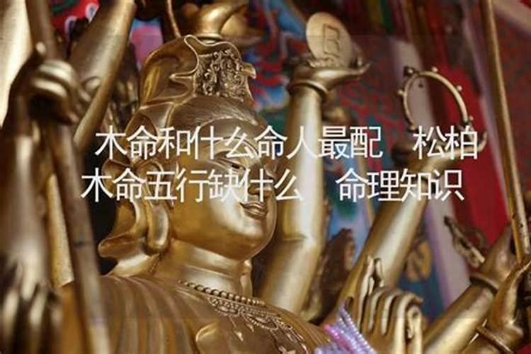 木命和什么命最配