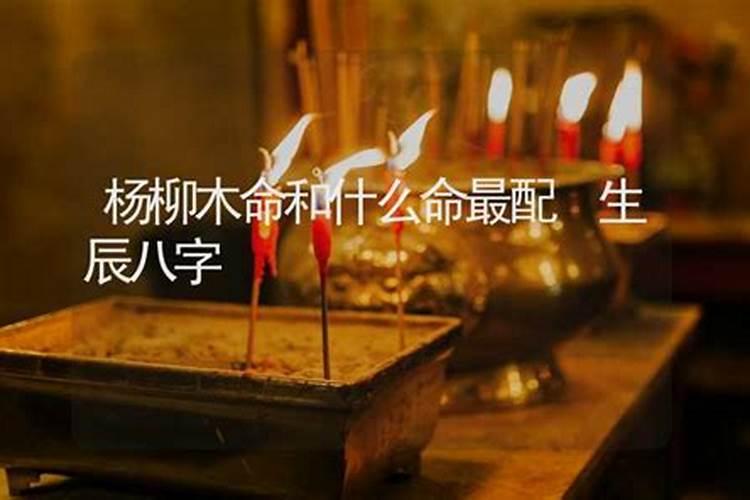 木命和什么命搭配好