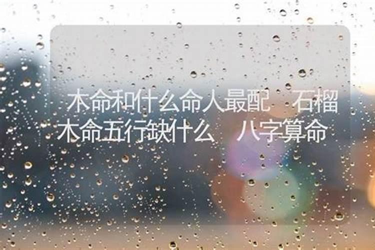 木命和什么命搭配好
