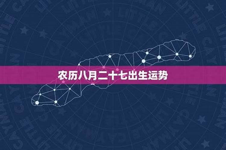 今年属兔的财运和运气如何