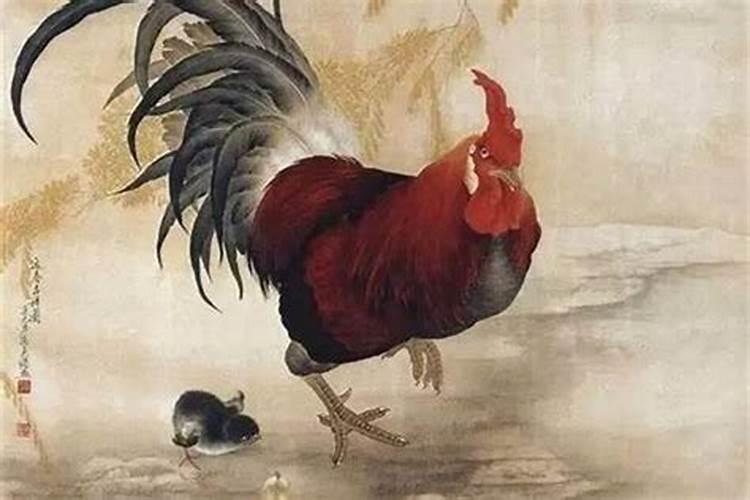 梦见很凶的大狗有什么预兆？是什么意思？