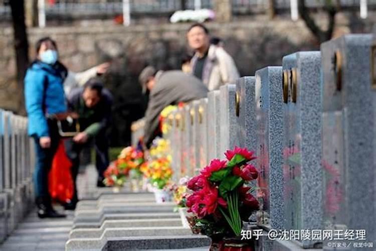 沈阳网上怎样预约扫墓？