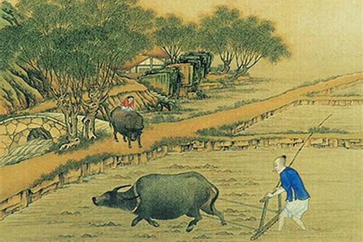 2025年生肖龙的运势