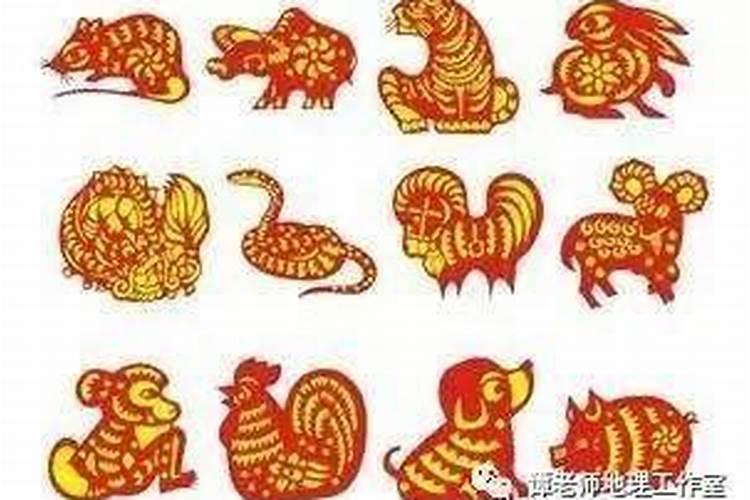 生肖龙1976年2025年运势如何 生肖龙1976年2025年全年运势