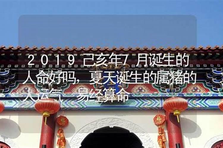 己亥年什么生肖最旺