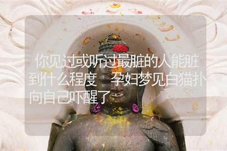 昨晚梦见一只黑猫在黑夜里亮着双眼恶狠狠地扑向我,然后就吓醒了。吉 ...