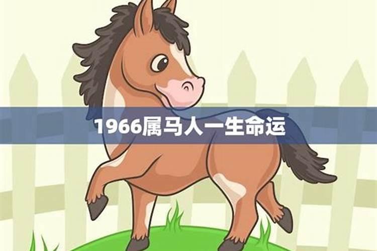 1966年属马的是什么命 1966年属马一生运程