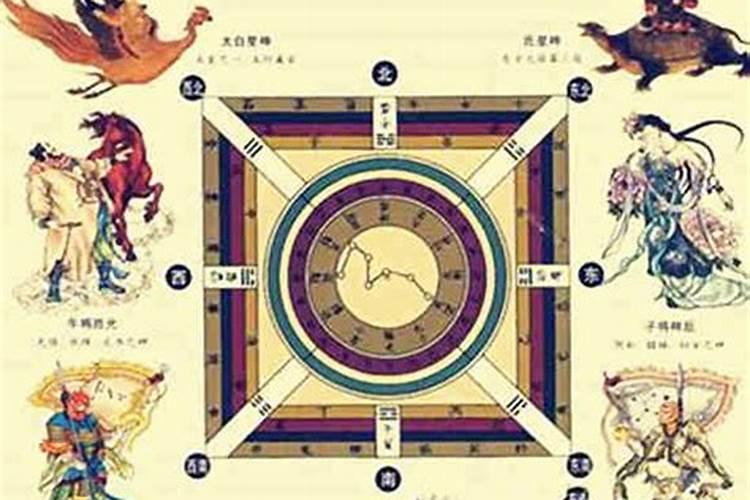 属羊今年运势2026年运势如何