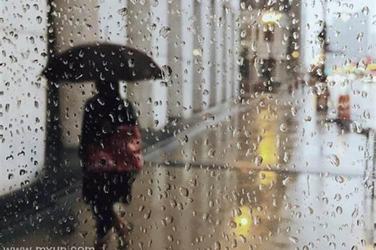怀孕梦到下雨是什么征兆