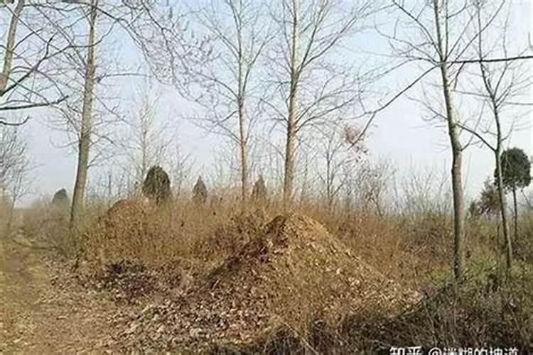什么叫做害太岁