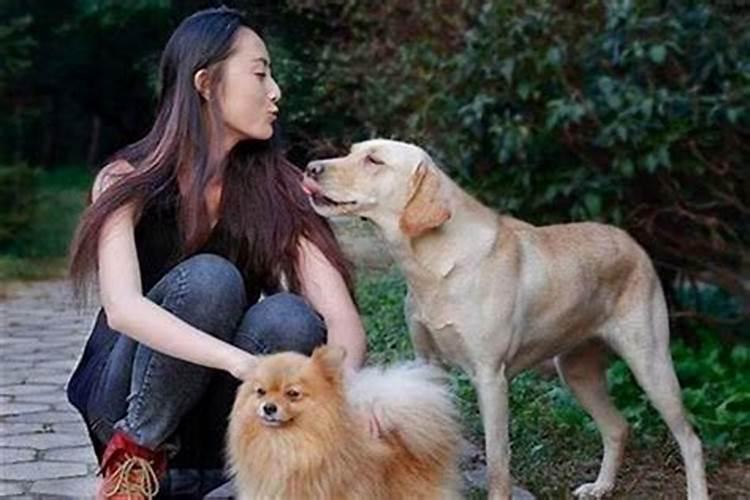 男属狗女属狗合婚吗