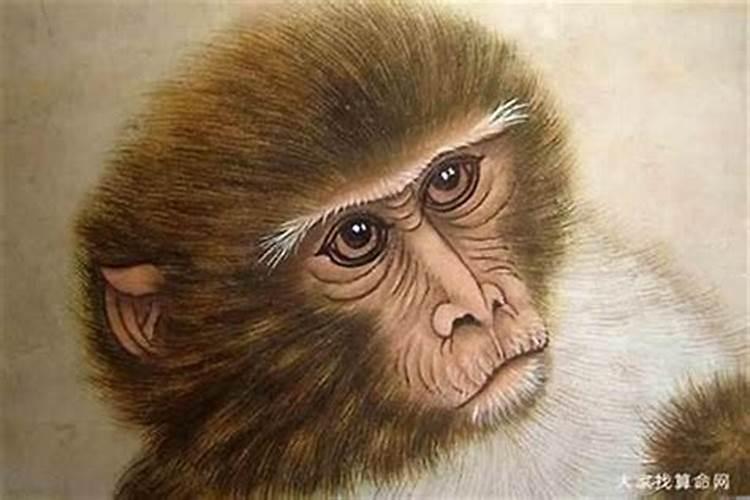 2025年68年猴人的全年运势如何
