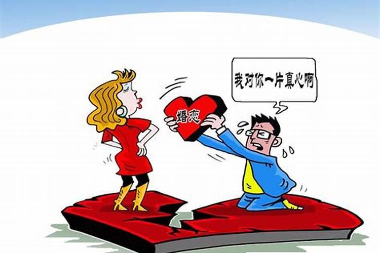 兔属相与什么属相最配 兔子跟什么生肖最配对和最好