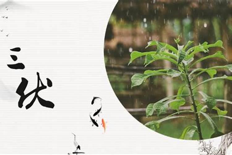 客厅的东北角摆放什么