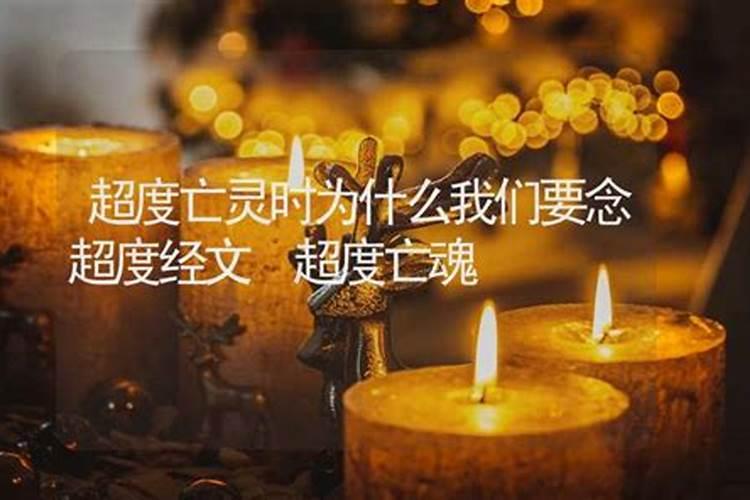 正月初一代表什么动物