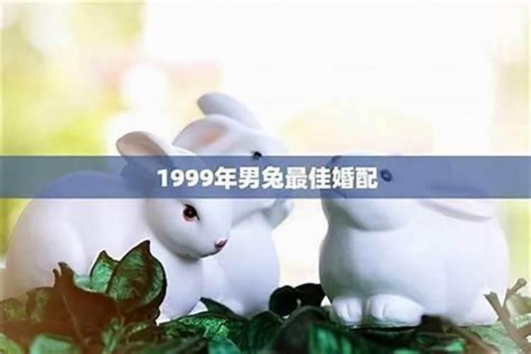 99年兔是土还是木
