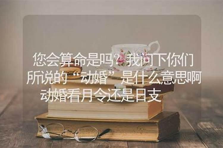 算命说动婚姻是什么意思,动婚是结婚还是处对象