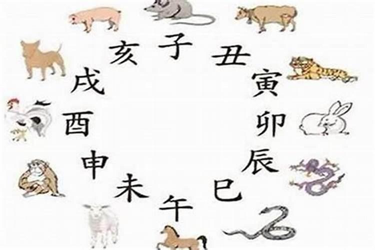 2025属马犯太岁吗 2025属马人全年运势如何