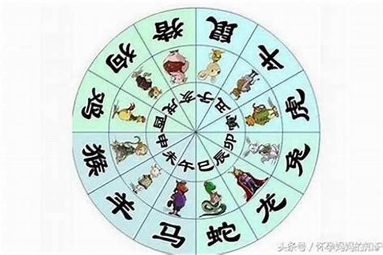 报生辰八字知男女性别
