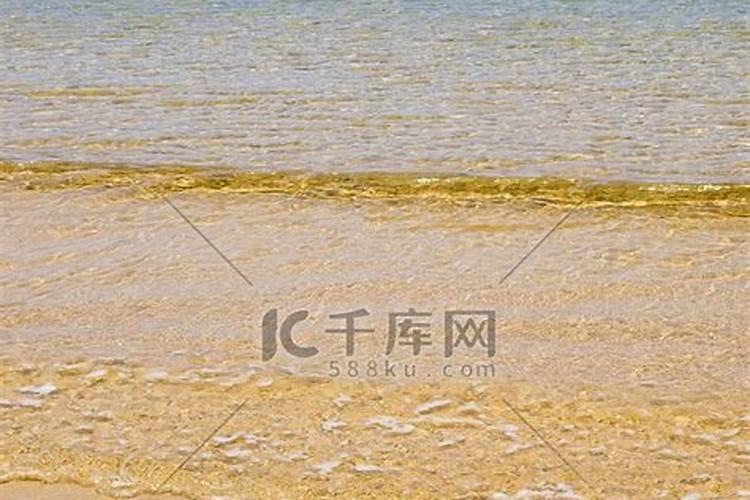清谷道长是不是正一派高功法师