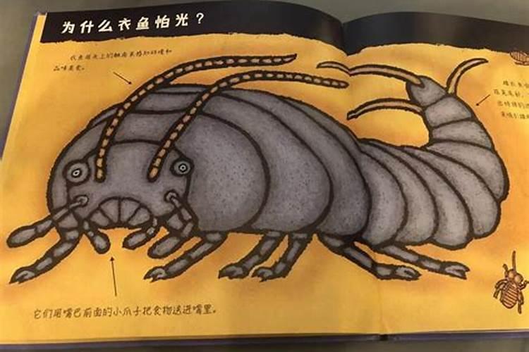 对付小人有什么办法