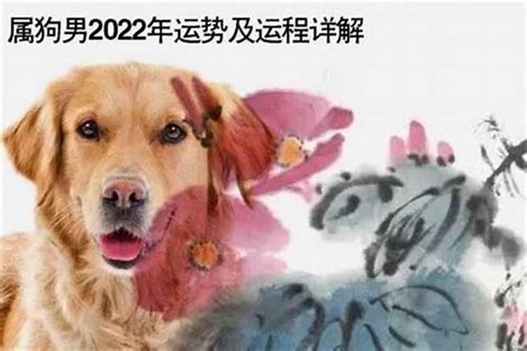二月二龙抬头的禁忌和风俗