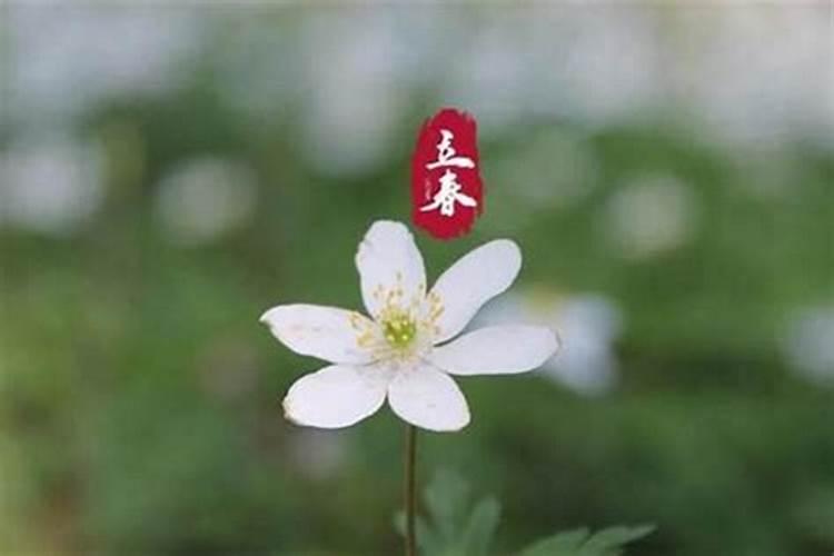 梦见已故外公和我说话 有什么寓意