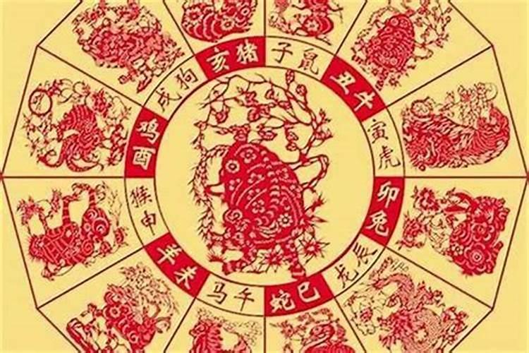 74年属虎49岁有一灾2024(如何化解灾厄)