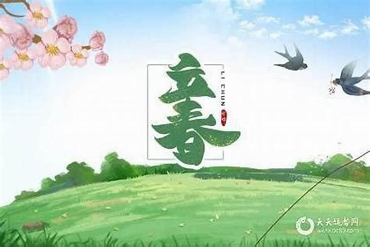 1972年鼠在2025年每月运势