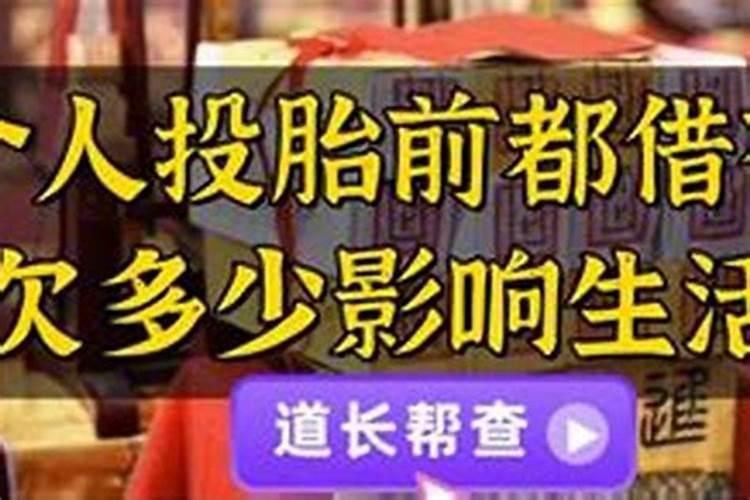 77年的蛇2025运气如何