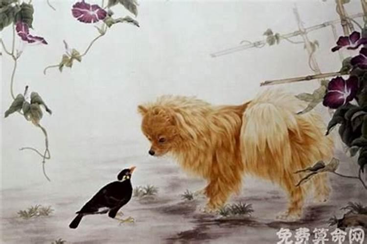 94年与96年八字合吗？