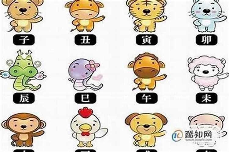2025本命年蛇戴平安扣好吗
