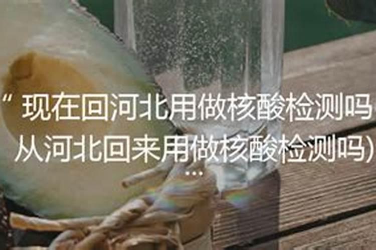女,己巳 丁丑 乙酉 辛巳。现己卯运最后一年。求看事业和今年几月有...