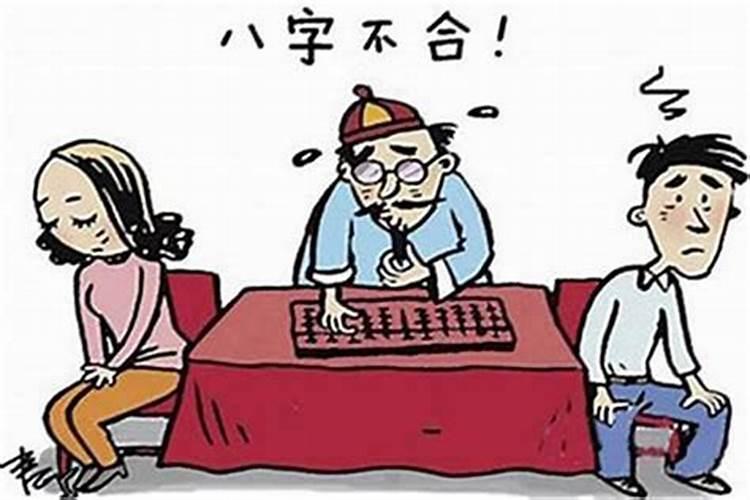 五行合好还是属相合好 八字合婚主要看什么