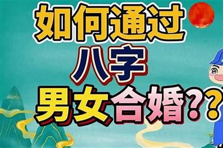戊土生什么金