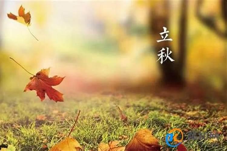 立秋的含义是什么