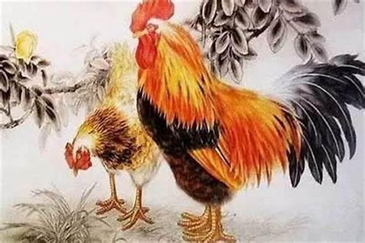 梦见自己骑摩托车摔伤的预兆