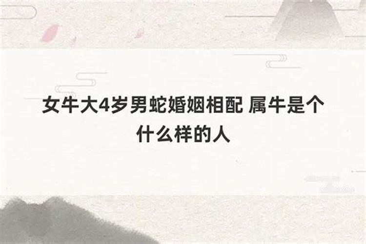 男蛇女牛属相婚配好吗