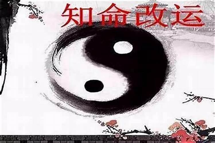 1982年属狗人九紫离火运运势