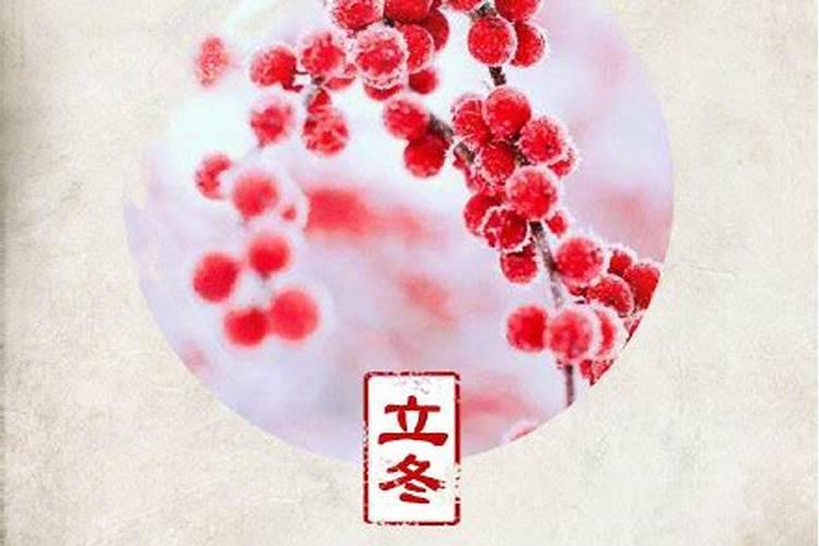 1982年属狗人一生命运