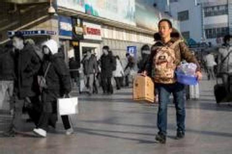 梦见路上好多狗的预兆