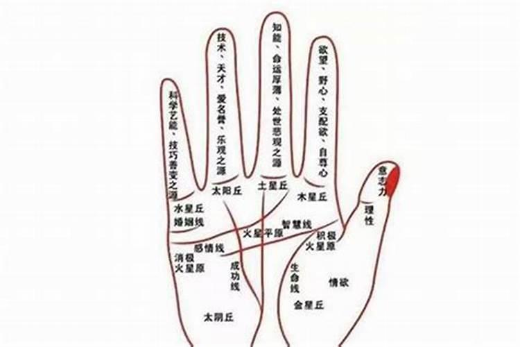 看手相算命 看手相算命准吗能信吗