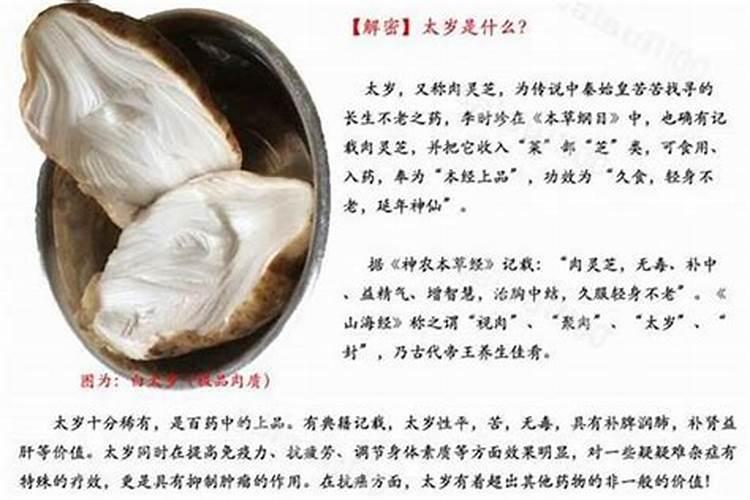 狗逢十二生肖事业运程