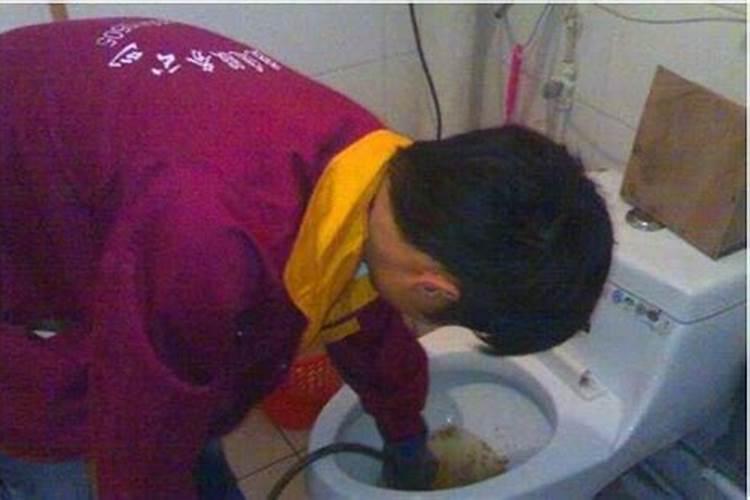 59年属猪的晚年命运好不好？