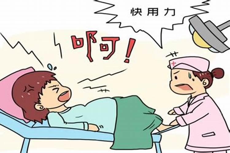 梦见表姐生了个儿子的预兆