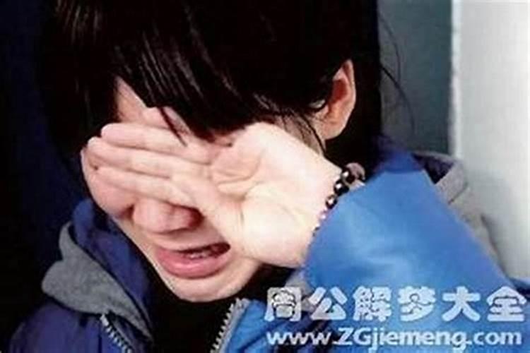 鼠年犯太岁的四个属相？