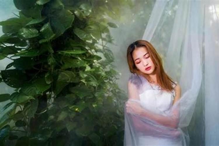 五行属木应该用什么增加运势